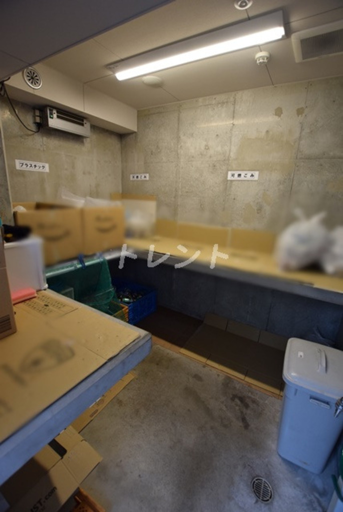 エルスタンザ平河町-604