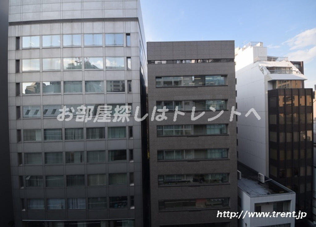 エルスタンザ平河町-604