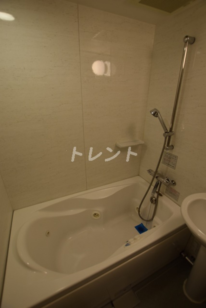 メゾンドヴィレ東神田-1002