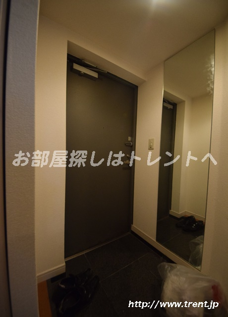 パレステュディオ御茶ノ水駿河台弐番館-301
