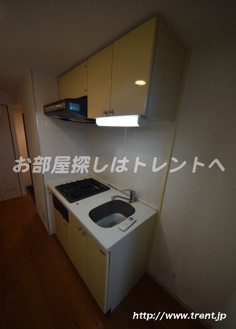 パレステュディオ御茶ノ水駿河台弐番館-301