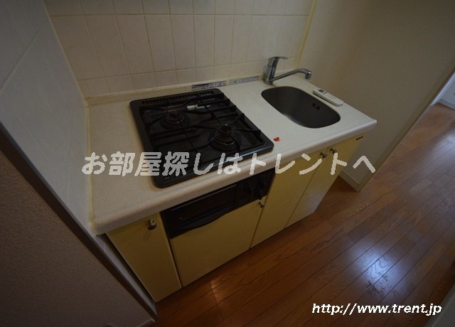 パレステュディオ御茶ノ水駿河台弐番館-301