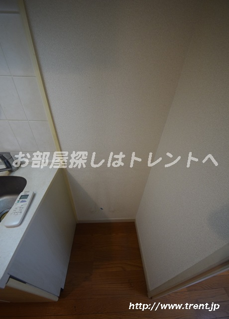 パレステュディオ御茶ノ水駿河台弐番館-301