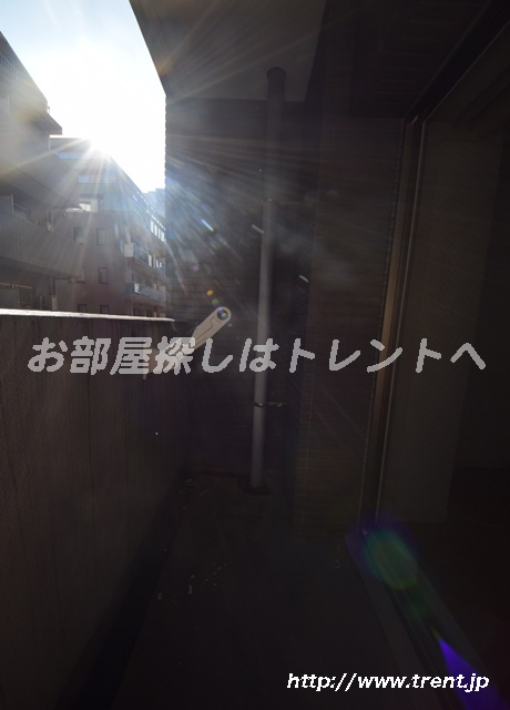 パレステュディオ御茶ノ水駿河台弐番館-301