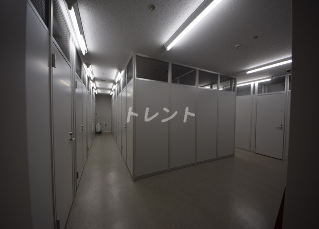 ラフィーヌ銀座-1112