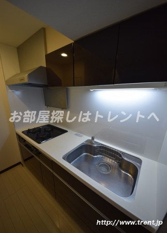 プリマヴェーラ小石川-501