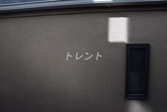 荘-101