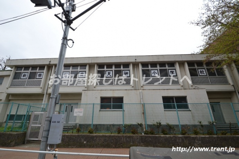 新宿区立 天神小学校