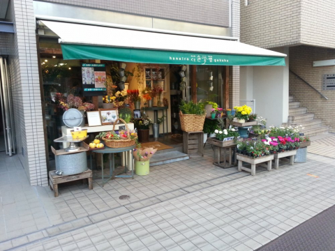 花色楽葉