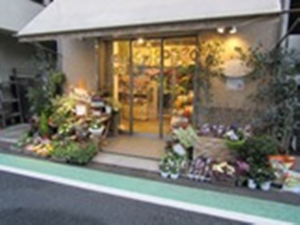 Stella(花屋)
