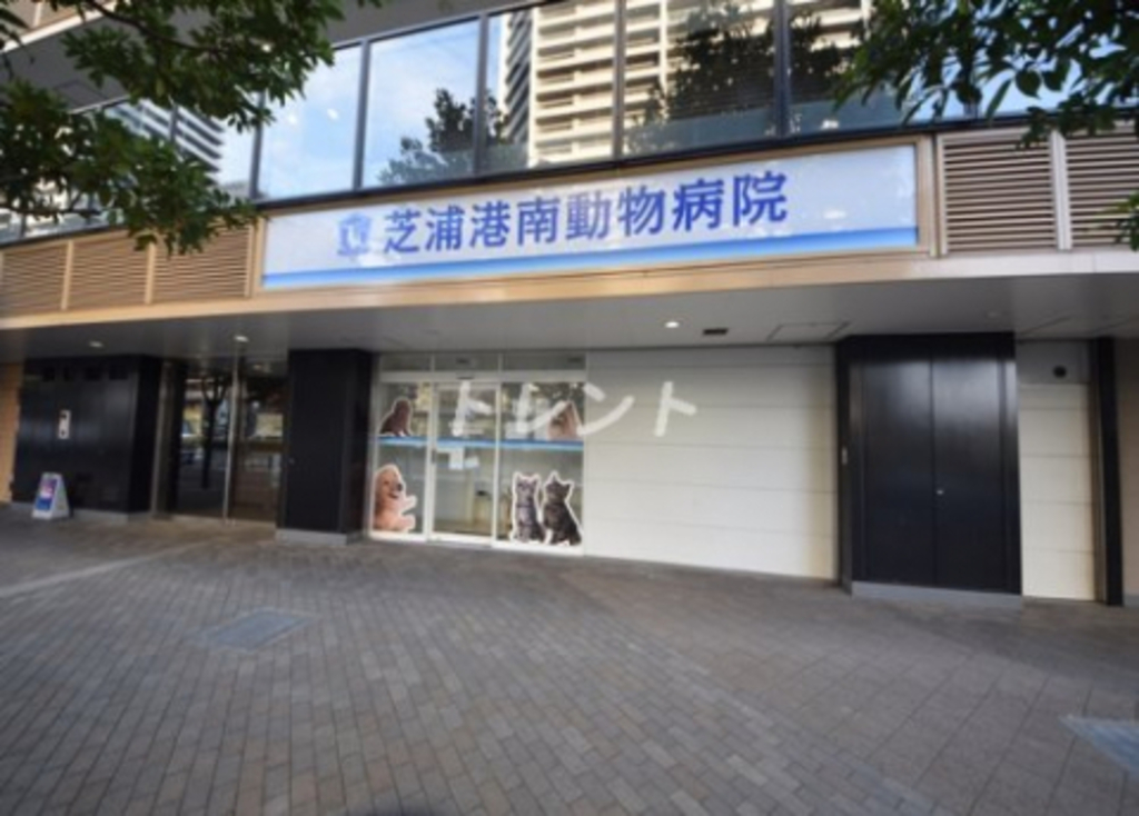 芝浦港南動物病院