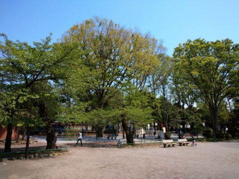 江原公園