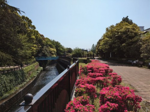 哲学堂公園